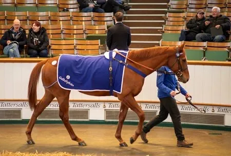 Godolphin and Marconi