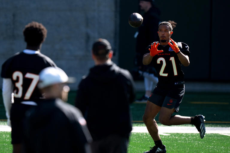 Bengals, NFL