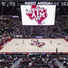 Texas A&M