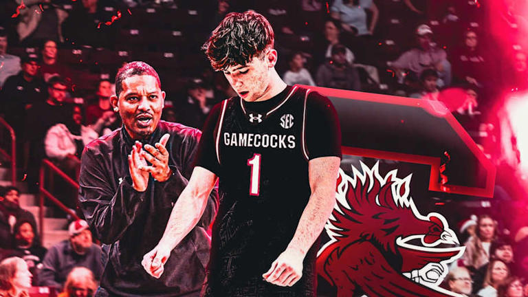 Gamecocks, South Carolina