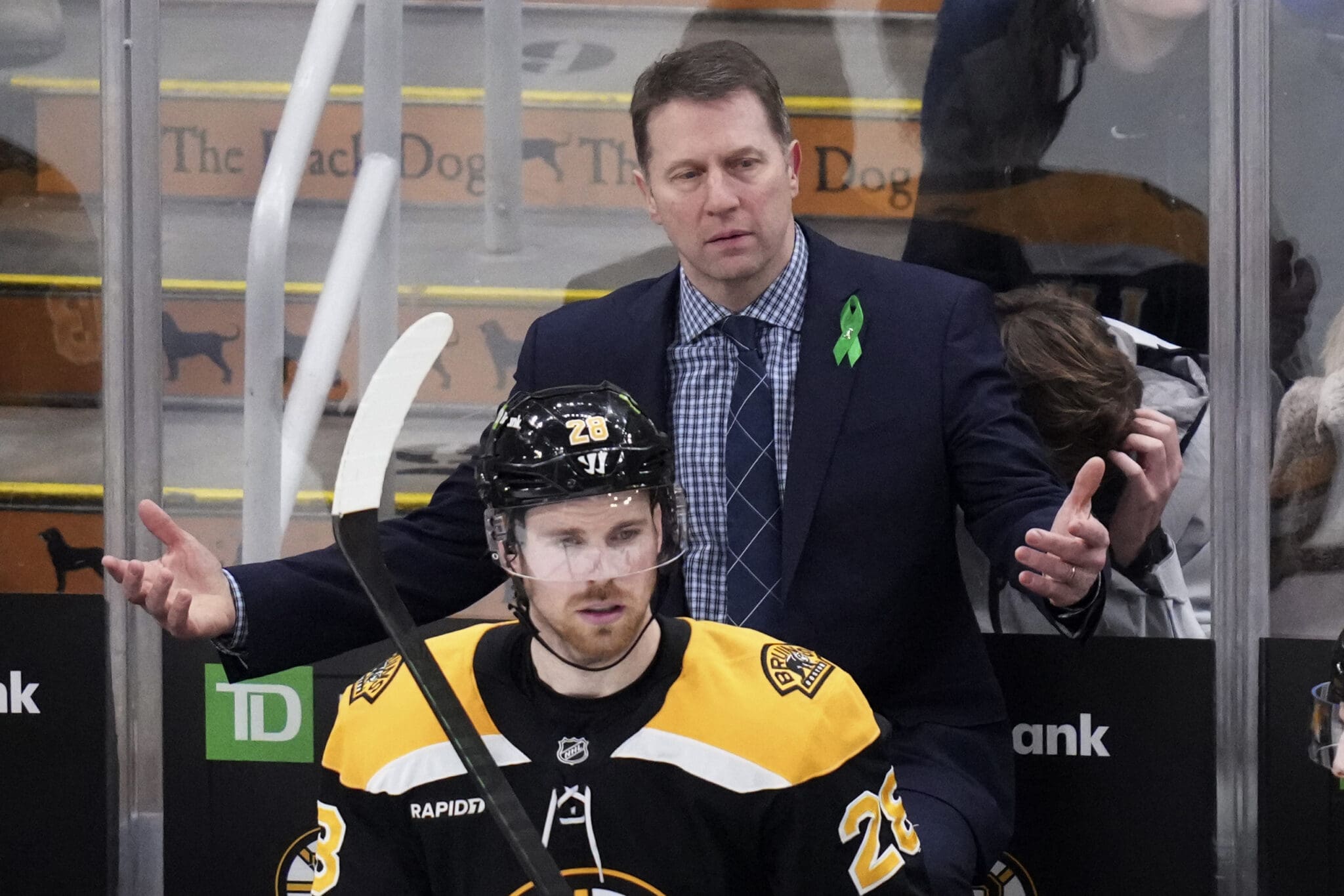Joe Sacco, Boston Bruins