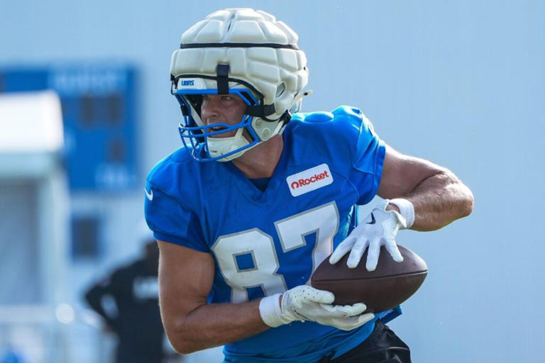 Detroit Lions
