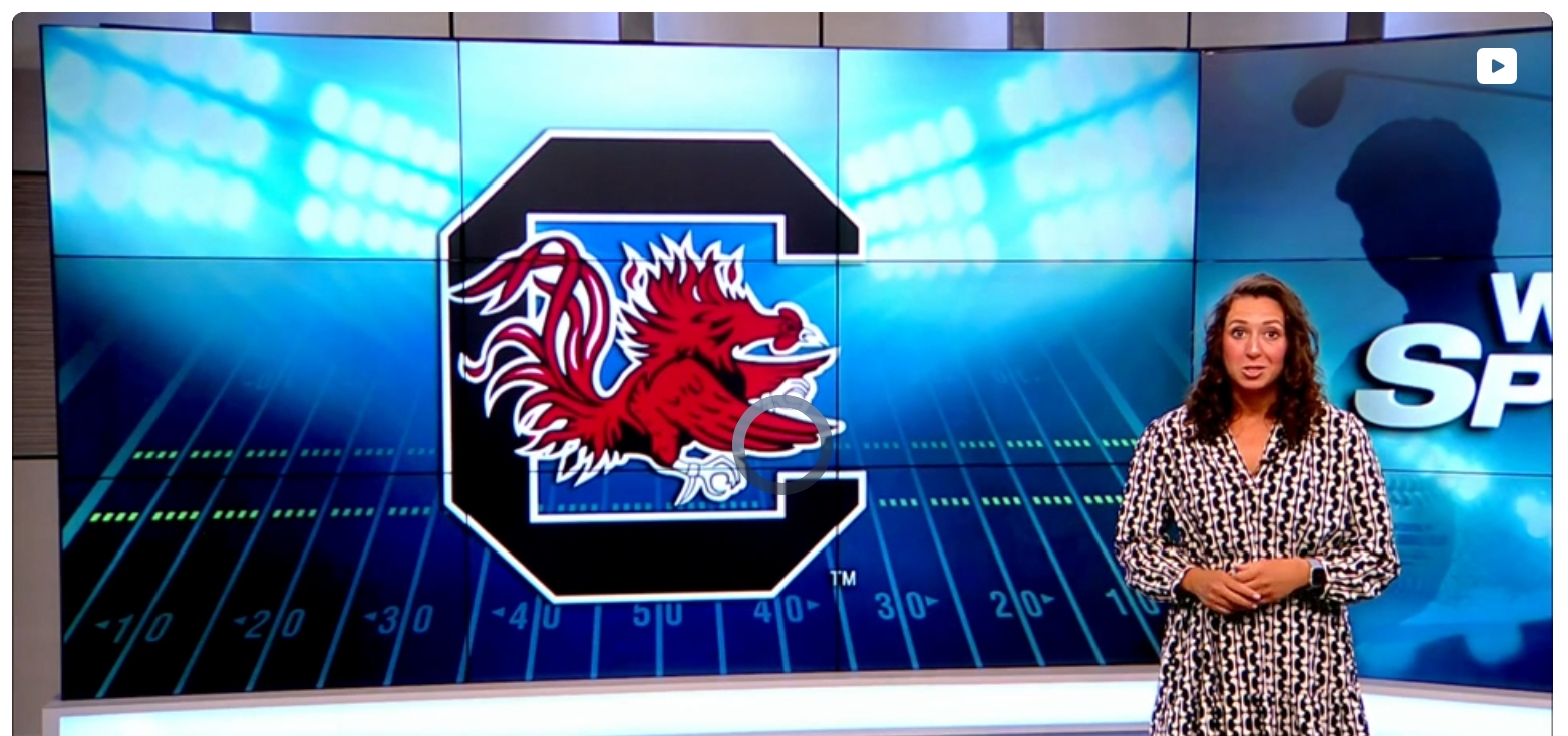 South Carolina Gamecocks
